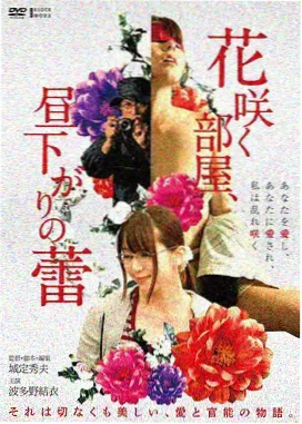盗梦空间 青柠影院在线观看